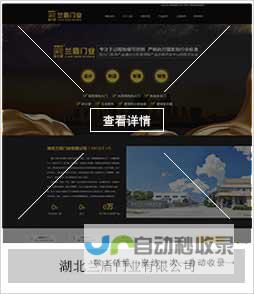 武汉网站推广：提升您在本地市场的品牌影响力